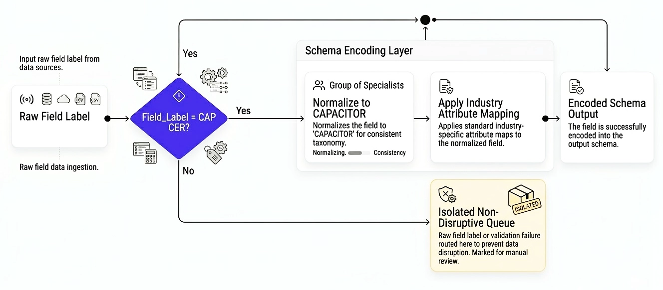 Decision tree flowchart showing data field logic decisions and normalization outcomes
